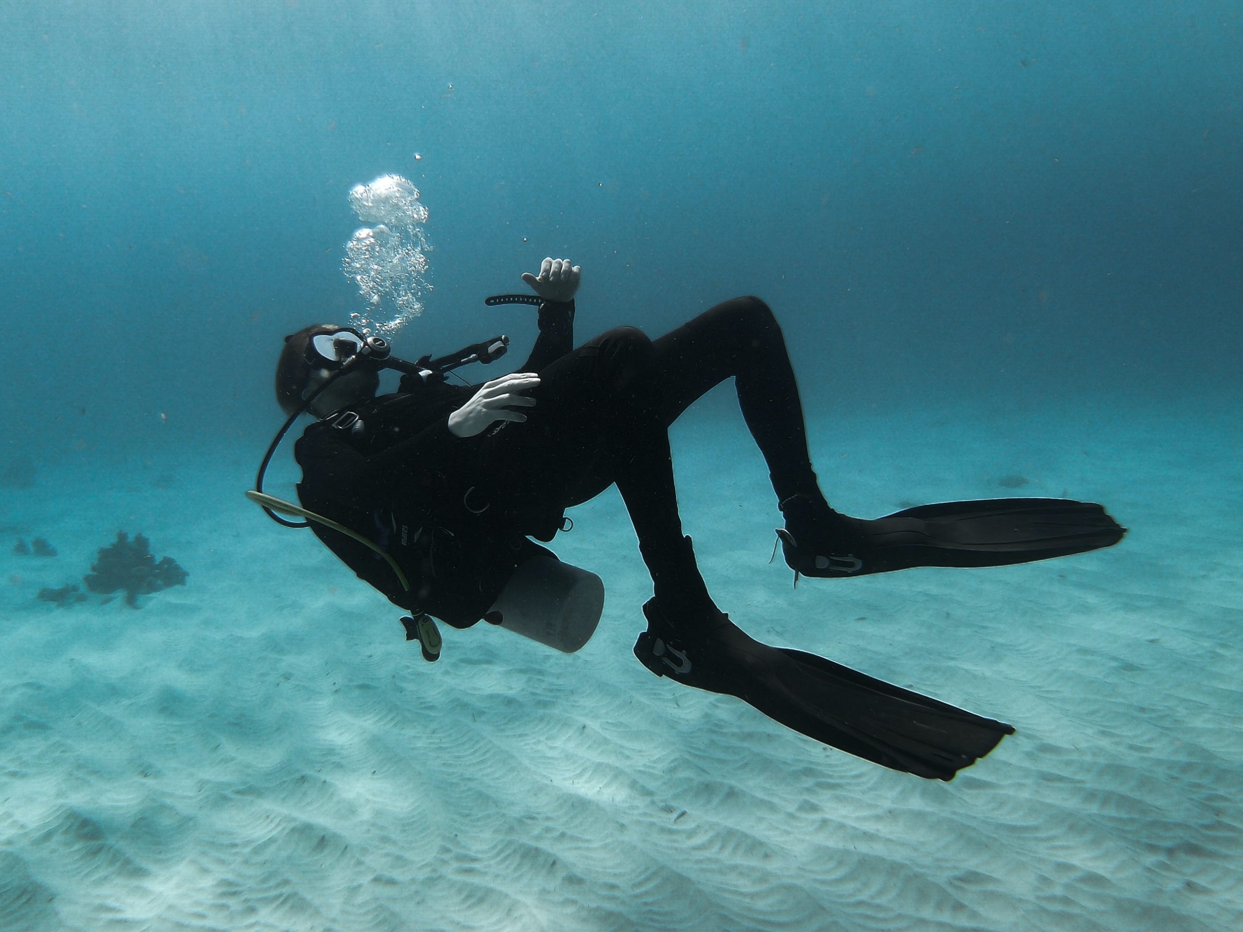 Scuba Diving with Fins