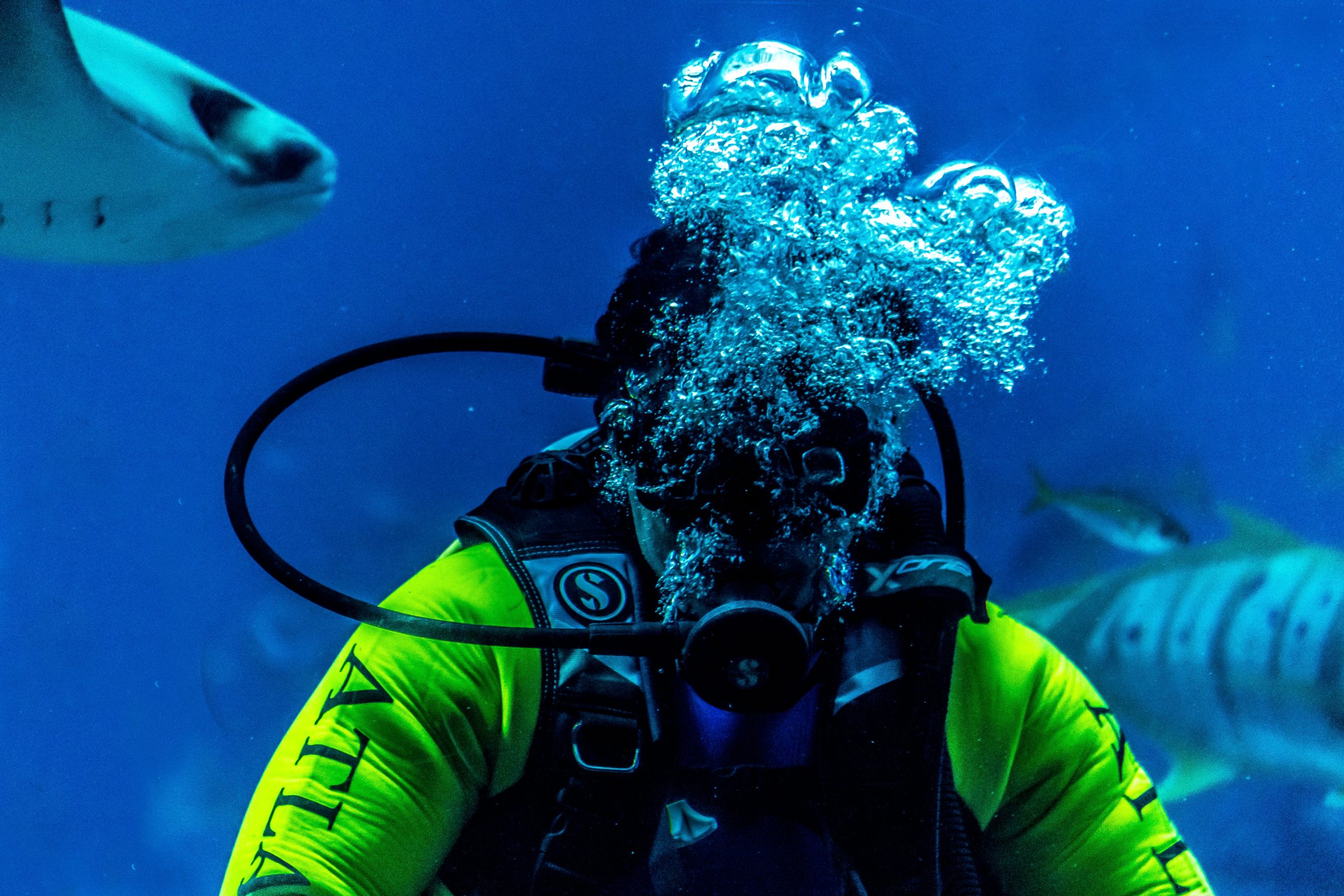 Scuba Diving using Regulator