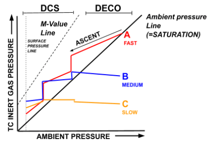 Multiple Tissue Compartment Pressure  Diagram