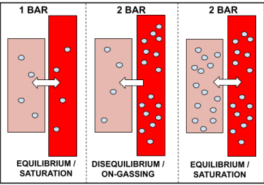 On-Gassing Diagram
